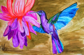 Kolibri by Adrien Asselborn